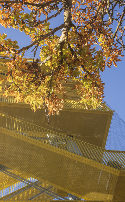 Trappen van het Uitzichtpunt Binnenhof. Trappen van het Uitzichtpunt Binnenhof.