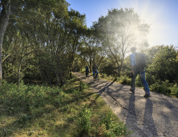 Wandelen Westduinpark Den Haag Wandelen Westduinpark Den Haag