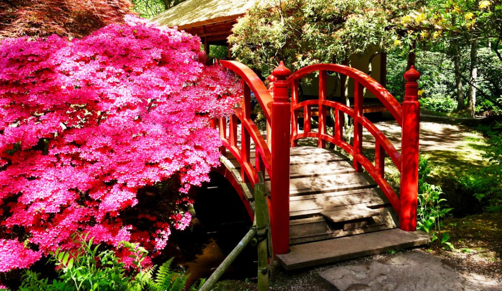 Japanse Tuin Japanse Tuin