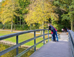 Haagse Bos Haagse Bos